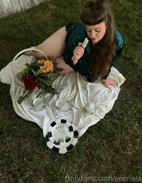 seenala buena estrella porno archivo