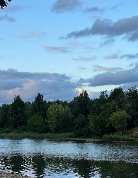 vanessaroom8 estrella archivo