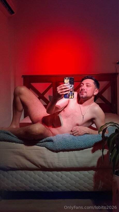 Lobito2026 estrella del arte imagen