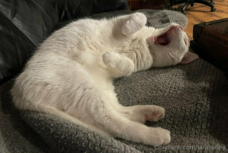 fitness desnudo onlyfans hermoso imágenes