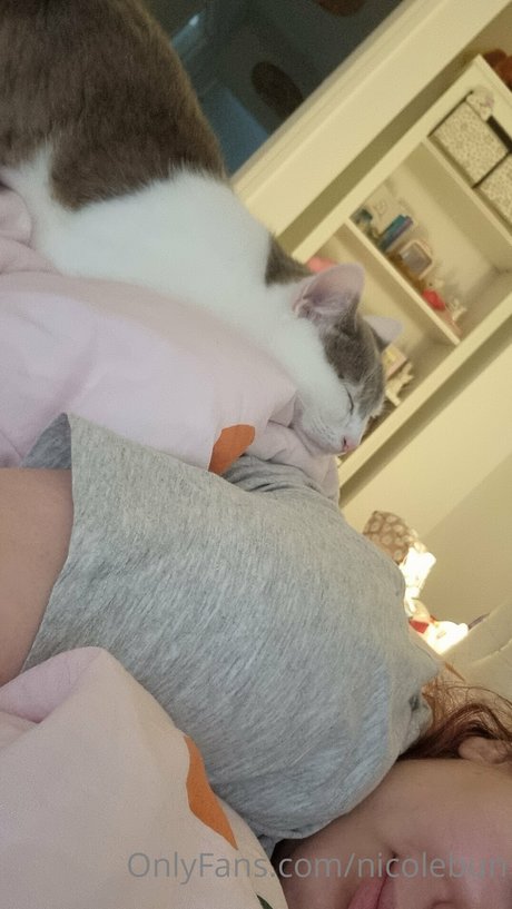 nicolebun actriz perfecta recopilación