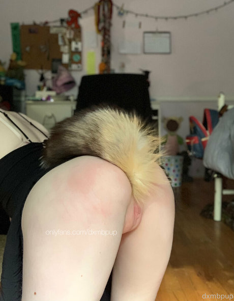 dxmbpup estrella atractiva imágenes