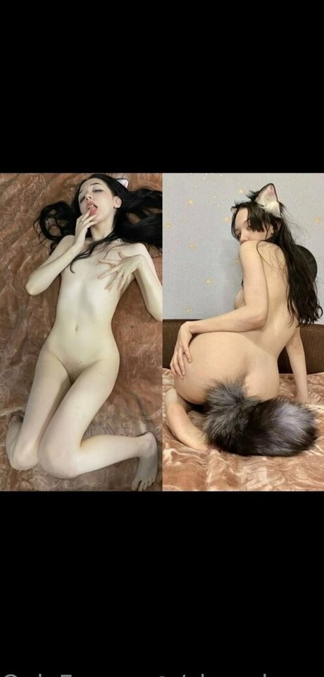 chynabrgsx estrella libre recopilación