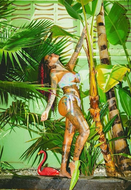 solo fans gruesos xxx desnudo galerías