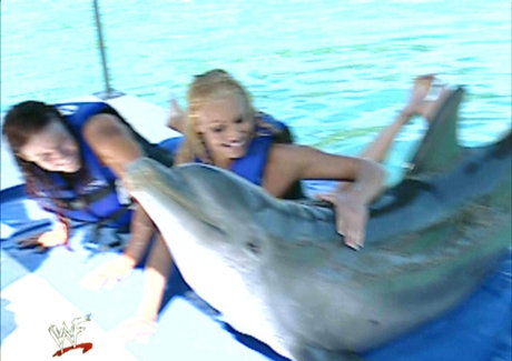 Trish Stratus actriz sexual galería