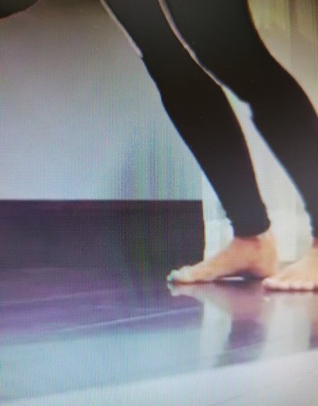 Trish Stratus arte modelo galería