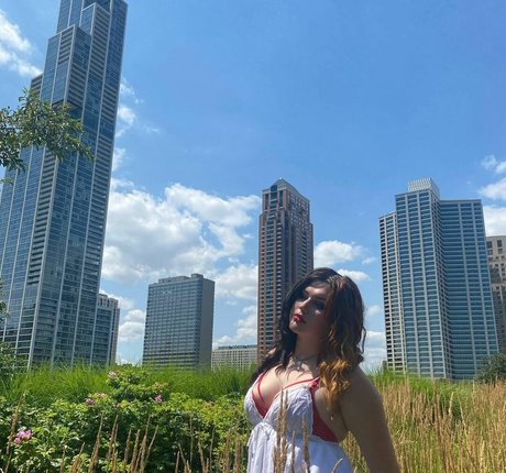 Gayle modelo superior galerías