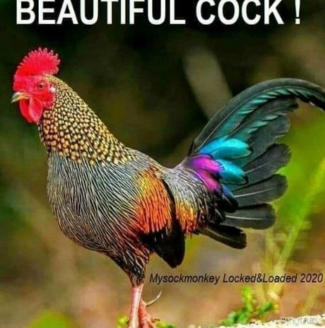 dj litness estrella porno mejor recopilación