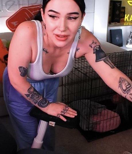 Kalei bonita estrella imágenes