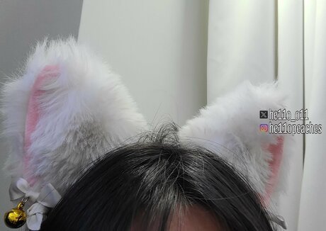 nya ming estrella del arte imagen