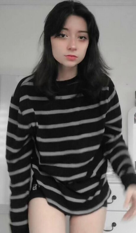 Anto a a estrella de alta definición fotos