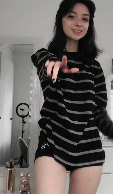 Anto a a estrella de alta calidad recopilación