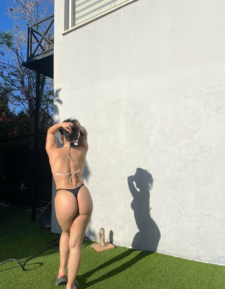 zeliharida estrella galería