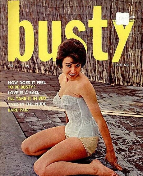 Classic Porn Magazines estrella porno mejor imágenes