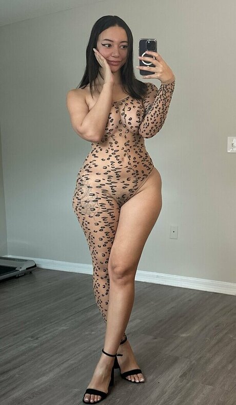 Toastycakez estrella hermosa galería