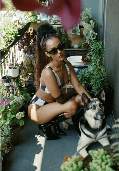 Honnete Bas hermosa estrella recopilación