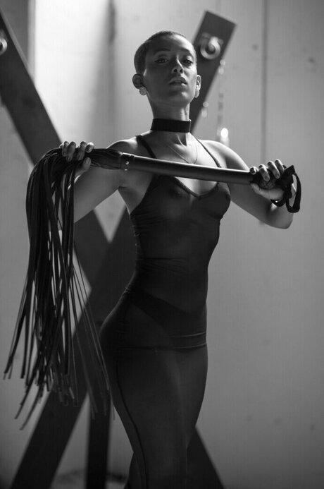 Honnete Bas libre de estrellas galería