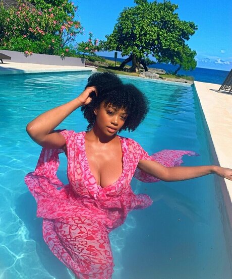 Taylor Banner modelo superior galerías