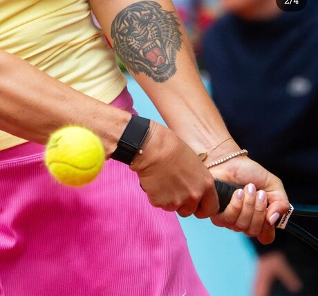 Aryna Sabalenka modelo de arte imágenes