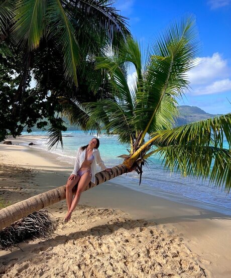 Lexi Si ziehl abegg estrella superior galería