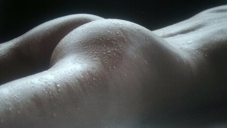 drag queen onlyfans sexy gratis galerías