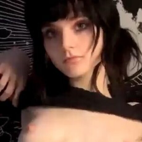 Ineedbunny mejor estrella fotos