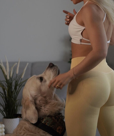 Joana Link estrella superior recopilación