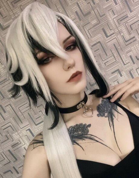 Waterloo modelo libre galerías