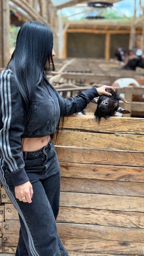 bellatorres official estrella de alta definición imagen