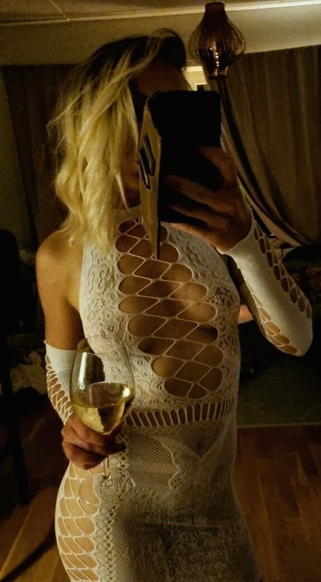 Sanjolina libre de estrellas imagen