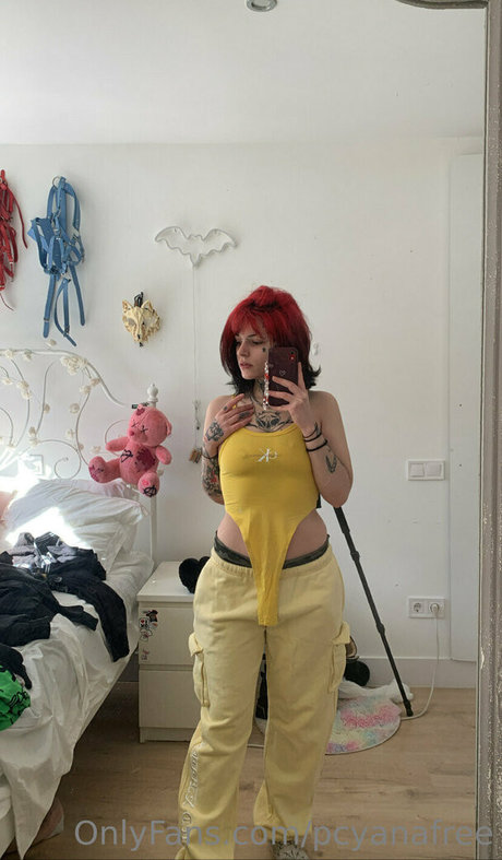 elfsandi estrella libre galería