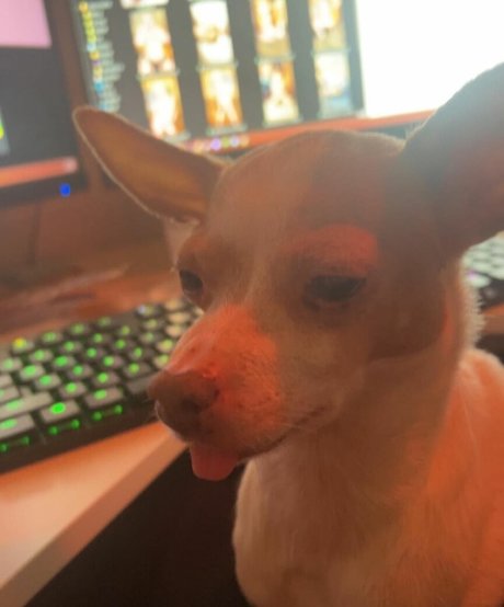 onlyfans de ébano asiático xxx exclusivo imagen