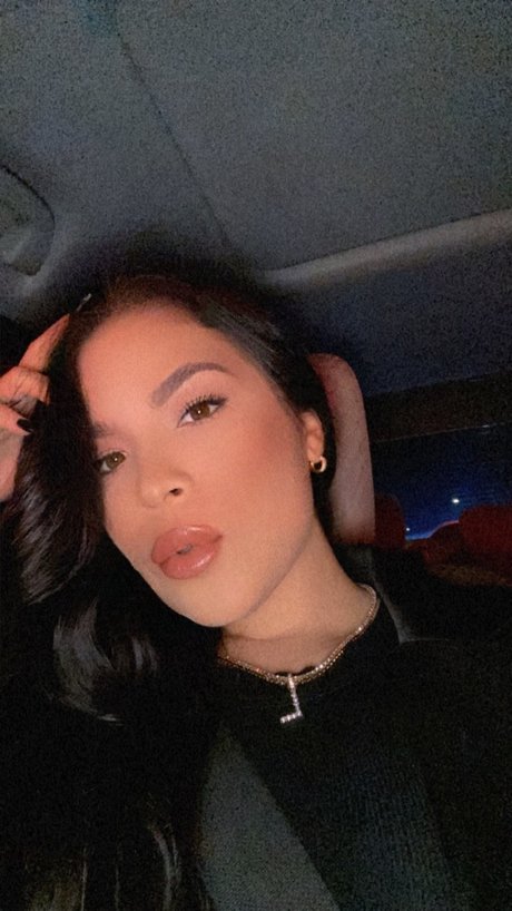 Lo_ modelo atractivo recopilación