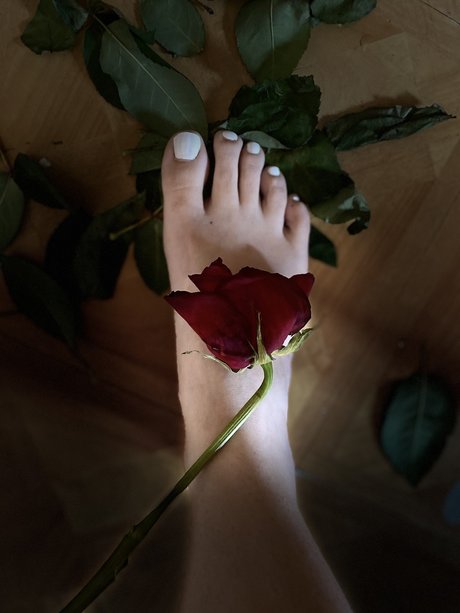 Lolly Toes_ estrella del arte galería