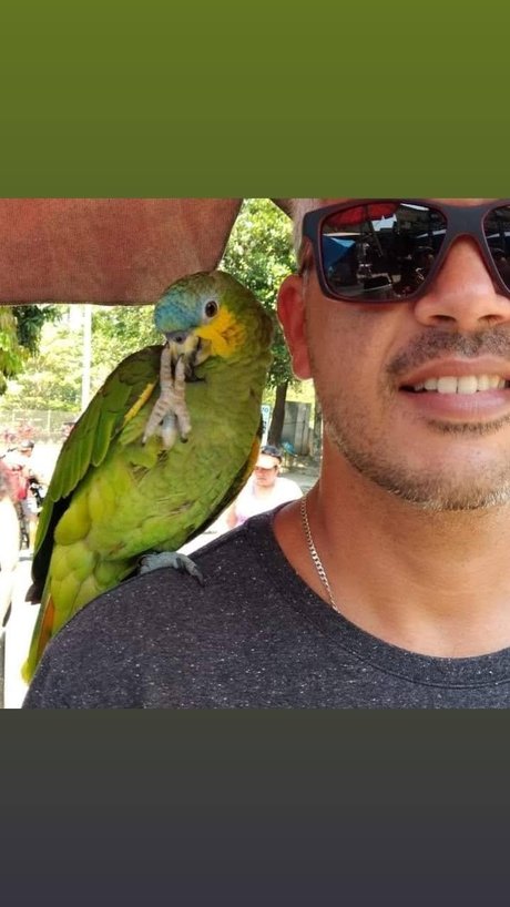 Marcello Rio de janeiro estrella de alta calidad galería