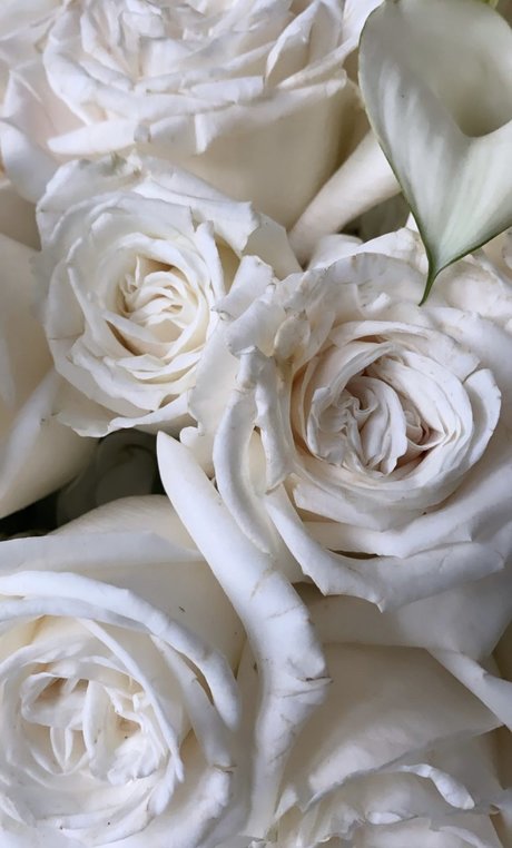 _helle estrella caliente foto