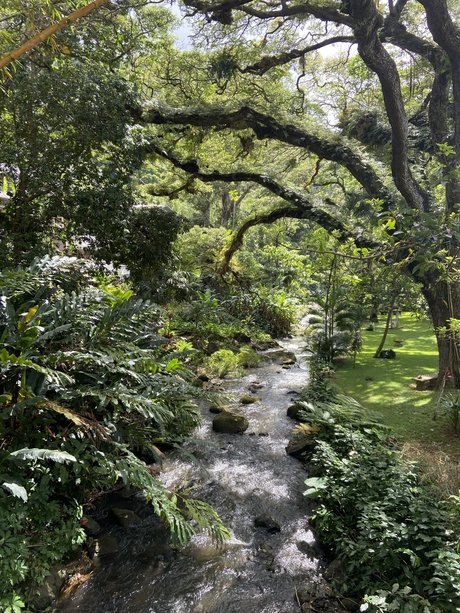 Kaelyn Michelle_ estrella porno mejor imágenes