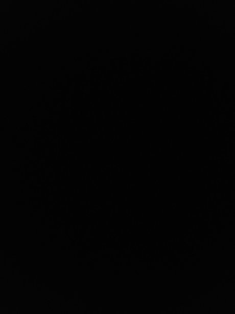 N Weezy904 desnudos de estrellas porno archivo