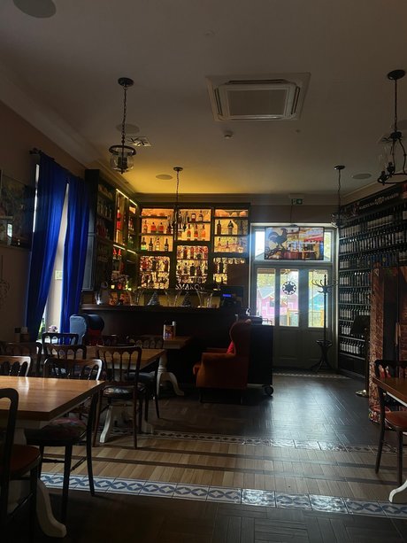 Elitezoya__ modelo imagen