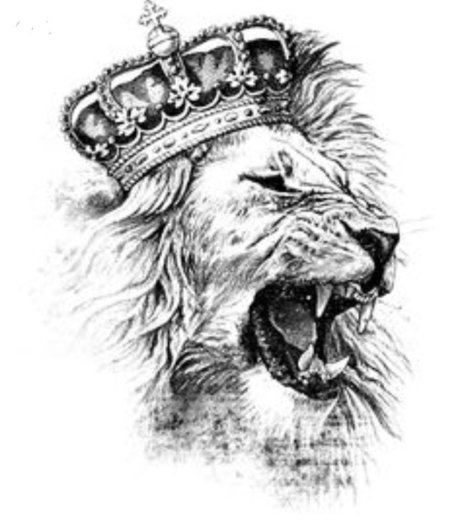 WhyG buena actriz fotos