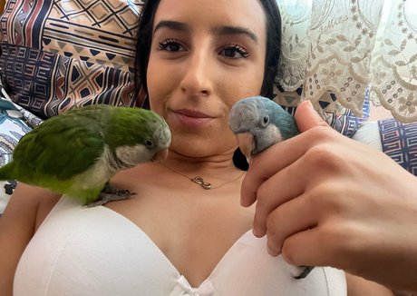 laylaaa944 estrella de alta definición fotos