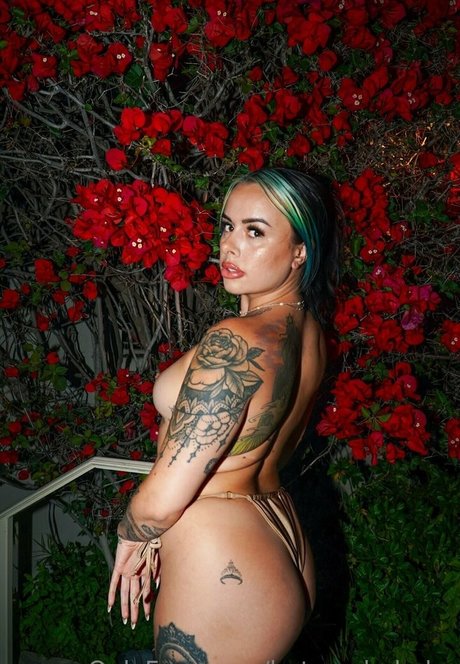 onlyfans de sexo anal sexy sexo xxx recopilación