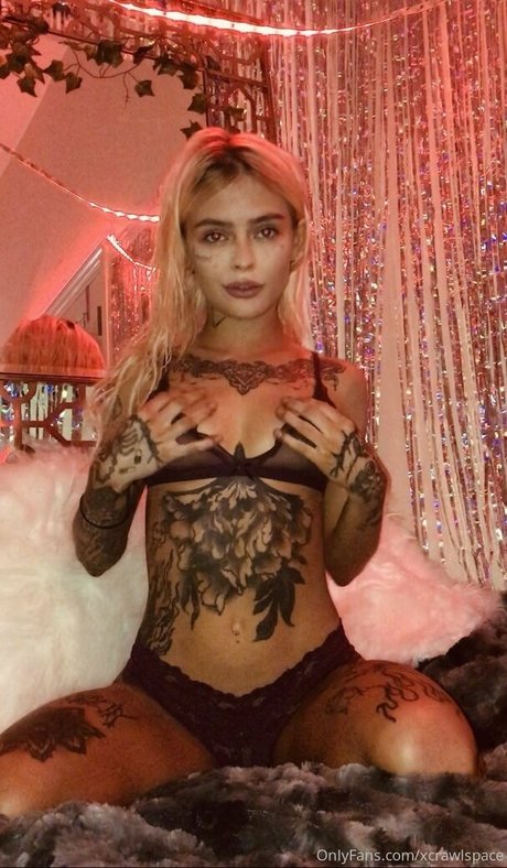 minziwild libre de estrellas galerías