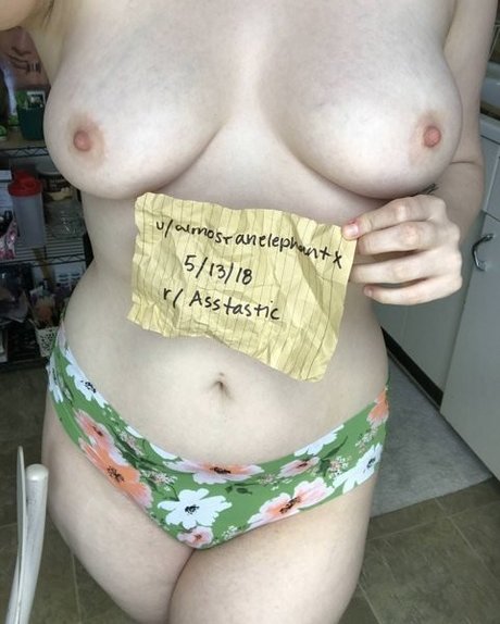 almostanelephantx Fotoaufnahmen