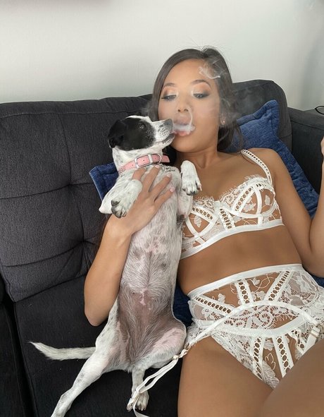 Vinaskyy arte modelo galerías