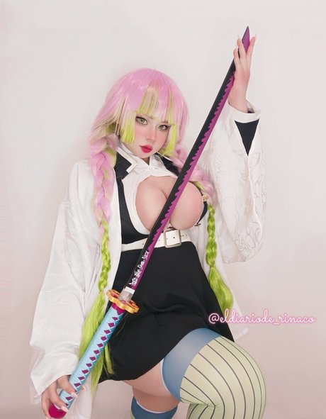 Eldiariode rinaco modelo gratis archivo