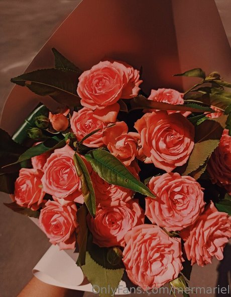 mermariel estrella imagen