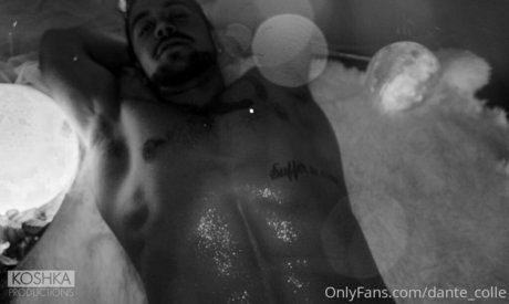 dante colle estrella del sexo archivo