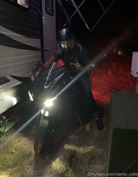 dante colle estrella porno del sexo galerías