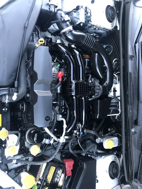 Puerto Rican estrella porno atractiva fotos